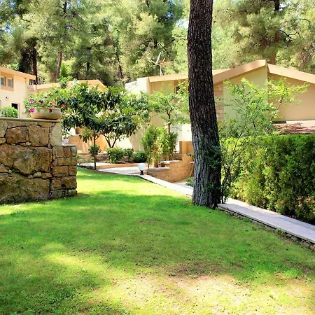 Villa Sani Cape - Stamatiadis *